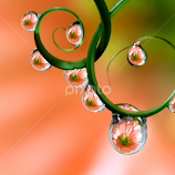 by Wahyudi Barasila -  