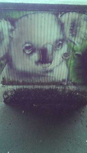 Koala Graffiti