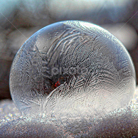 Frozen by Dawn Vance - Artistic Objects Glass