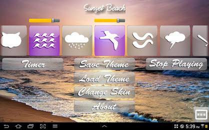 Elements of Ambience poster 2