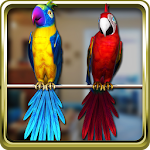 Cover Image of Download Talking Parrot Couple Free 1.3.3 APK