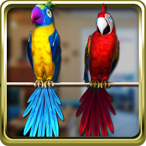 Talking Parrot Couple Free 