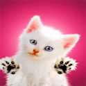 Screen Licker Live Wallpaper
