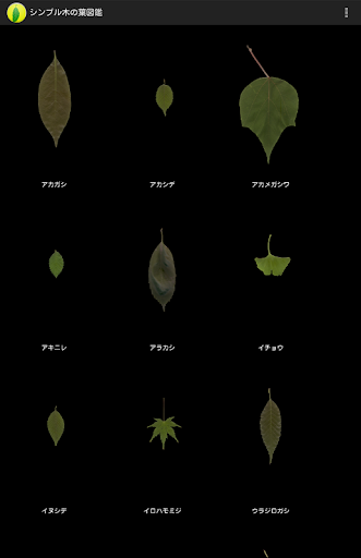 シンプル木の葉図鑑