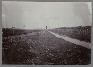 Spoor langs suikerriet