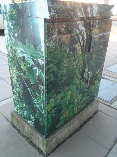 Forest Electrical Box