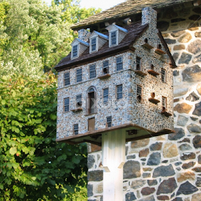 Chadds Ford Society birdhouse replica by Dianne Collins - Buildings & Architecture Public & Historical