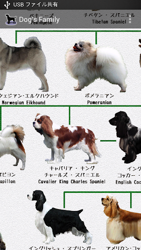 犬図鑑