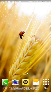 How to mod autumn rice livewallpaper 1.0 unlimited apk for pc