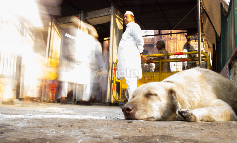 Trying to find the peace while the world is passing around me.... by Saurabh Midha - City,  Street & Park Street Scenes