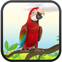Baixar aplicação Real Talking Parrot Instalar Mais recente APK Downloader
