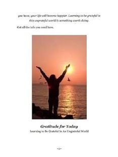 Gratitude For Today Screenshots 4