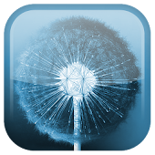 Dandelion Live Wallpaper