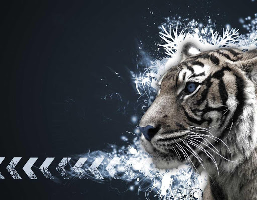 3D Tiger