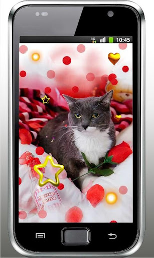 免費下載個人化APP|Kitty n Puppy live wallpaper app開箱文|APP開箱王