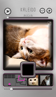 Lastest KALEIDOにゃんこ～北の大地から～ APK for PC
