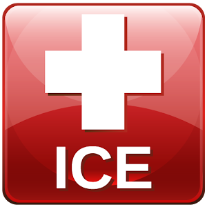 ICE Data Provider logo