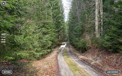 Lead distance poster 6