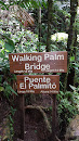Walking Palm Bridge - Arenal Hanging Bridges
