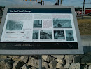 The Rail Yard Hump at Potomac Yard