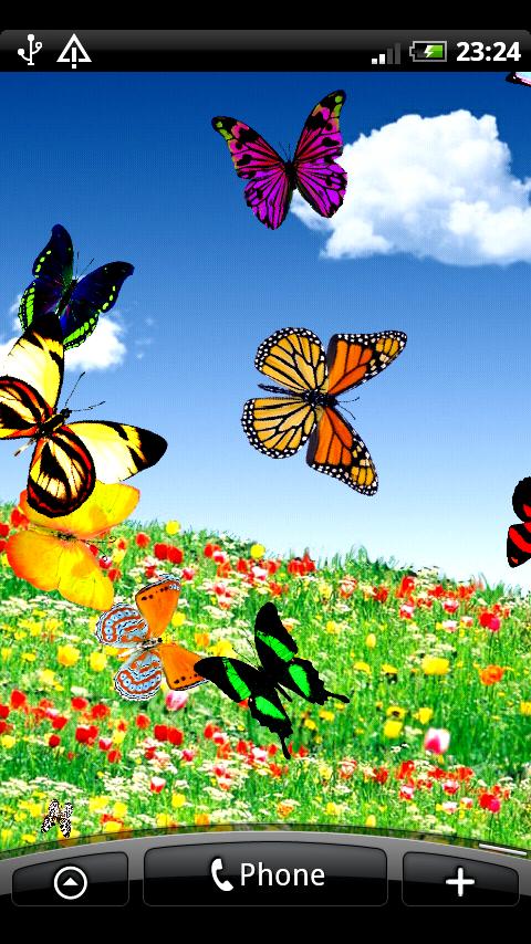 Butterfly Live Wallpaper Screen 2