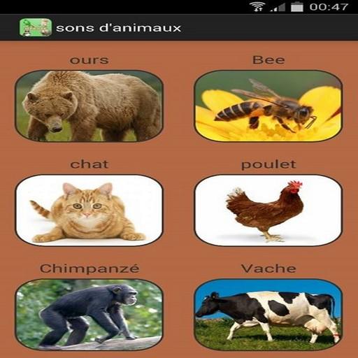 【免費音樂App】Sounds Animals for kids-APP點子