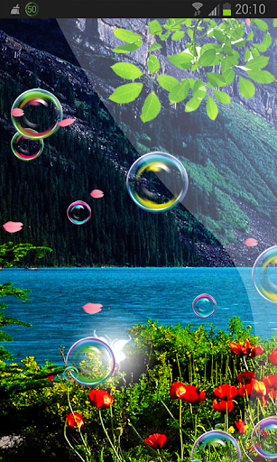 Poppy Flower n Bubbles HD