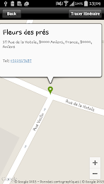 Fleurs des prés poster 5