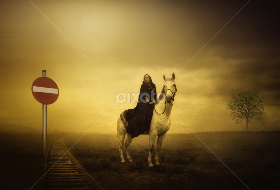 Wanderer by Rendi Saputra - Digital Art People