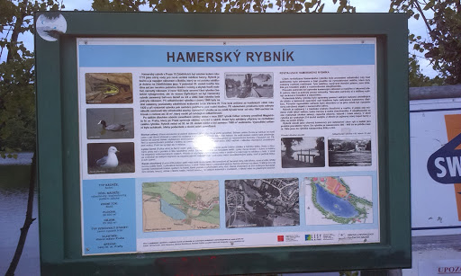 Hamersky Rybnik