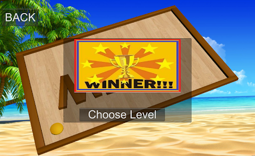 Survivor Fire Ball Maze 3D Screenshots 5