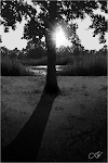 Walk in the Park (2)