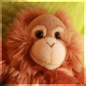Monkey Forecaster logo