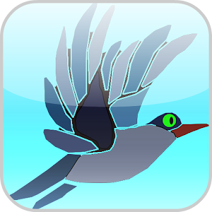 Bird Match 1.0