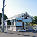 Tanesashikaigan Station