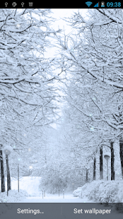 How to install Winter Live Wallpaper 1.6 mod apk for android