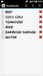 Shopping list voice input