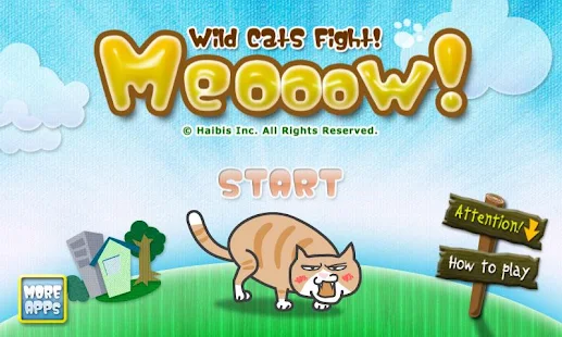 Meooow Wild Cats Fight