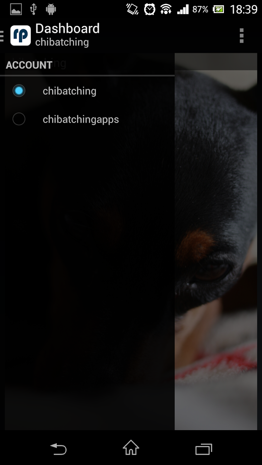 reprintr - Tumblr photo viewer Screen 2