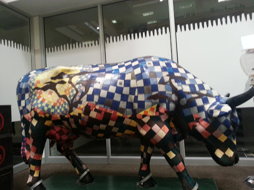 SAB Cow Art Installation
