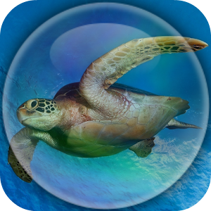 Download Sea Turtle Underwater For PC Windows and Mac