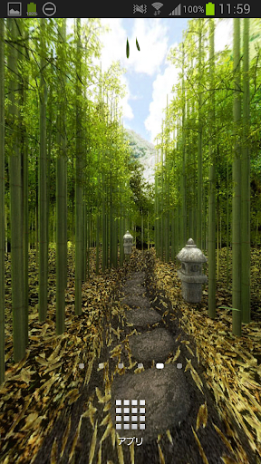 Bamboo Forest Lane