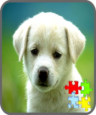 Dogs Puzzle Games