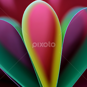 Paper art color abstract by Youssef Elboukhari - Abstract Patterns