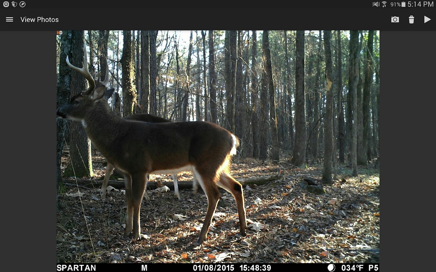 Spartan Camera Management Android Apps on Google Play