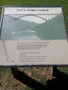 Trail to New River Bridge