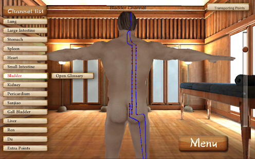 Acupuncture3D