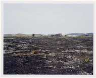 Landschap: Natuurgebied bij Schoorl; na de grote duin- en heidebranden van 2010 en 2011, Bergen