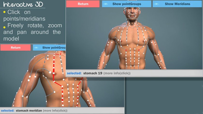 Easy Acupuncture 3D-MED Screen 1