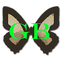 GB Photo Editor
